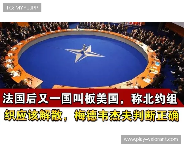 法国政府考虑解散极端球迷组织，维护赛场安全